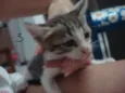 nao tem nomes