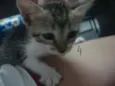nao tem nomes