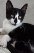 Bia
