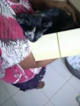 Escaminha