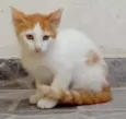 Princesa
