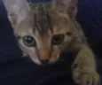 Mia