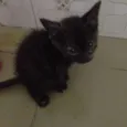 Lala