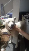 Kira