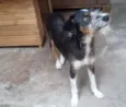 Nina