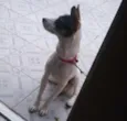 Nina