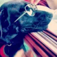 Chico