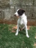 Shermam