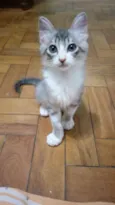 Tom e Pandora