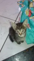 Ainda sem