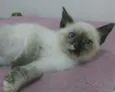 Pipoca e Paçoca