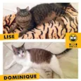 Lise e Dominique