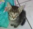 Ainda sem