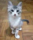 Tom e Pandora