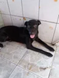 maya