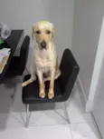 Marley