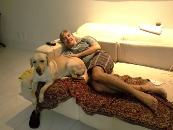Cachorro raça Labrador idade 2 anos nome Marley