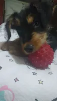 Zack (Provisório)