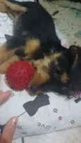 Zack (Provisório)