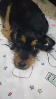 Zack (Provisório)