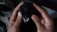 Preto