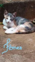 Pretinhos