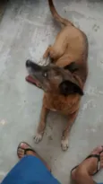 Princesa 