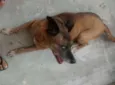 Princesa 