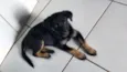 Não tem nome