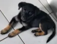 Não tem nome