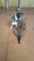 Bolota e Redondinho