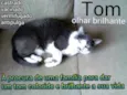 Tom - castrado, ver