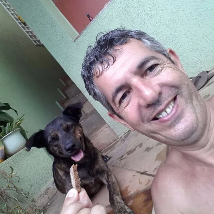 Cachorro ra a Virá lata idade 3 anos nome Nina