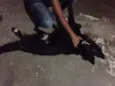Bob