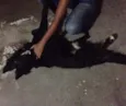 Bob
