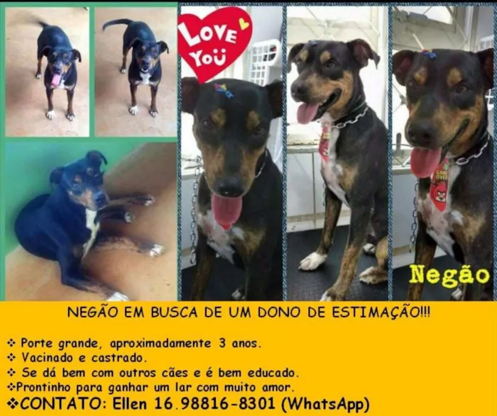 Cachorro ra a SRD idade 3 anos nome Negão