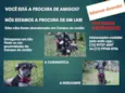 espertas e amorosa