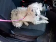 Elsa e Madruguinha