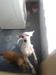 Elsa e Madruguinha