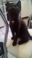 Zulu
