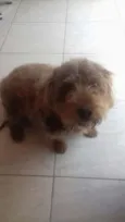 Mel