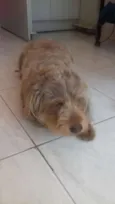 Mel