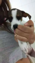 Dori