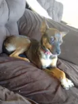 Nina