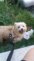 BOBY