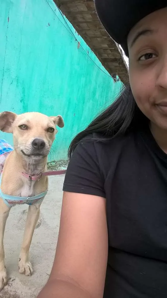 Cachorro ra a Sem Raça Definida idade 7 a 11 meses nome Luna