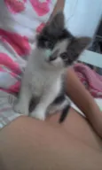LINDINHA