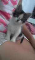 LINDINHA