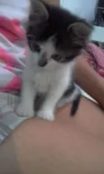 LINDINHA