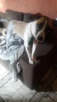 Bolt